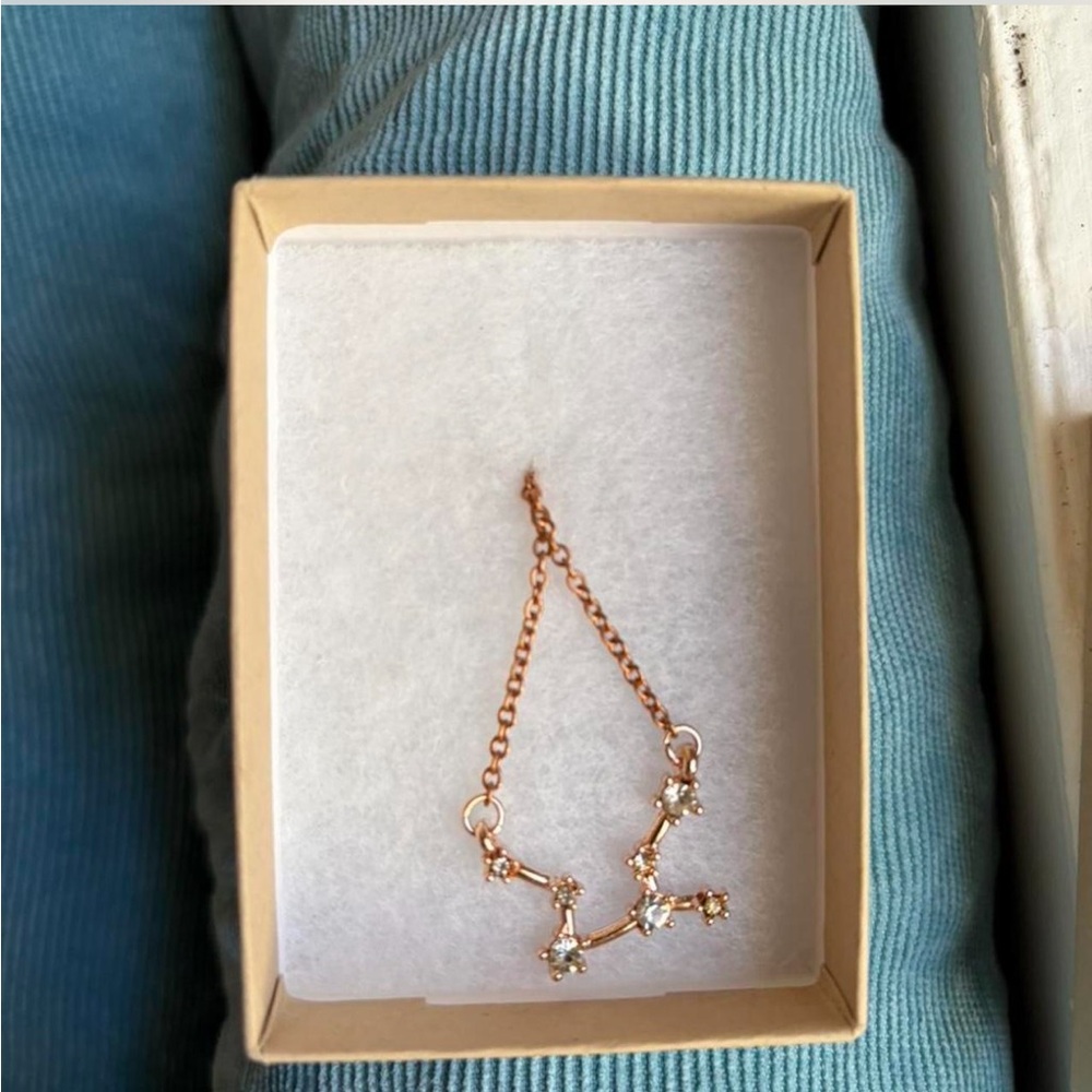 Elegant Rose Gold Zodiac Scorpio Necklace with Crystal Accents 16in Length